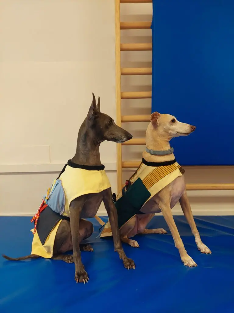 d33c231d e107 4b34 9cd9 5526a1aa0976